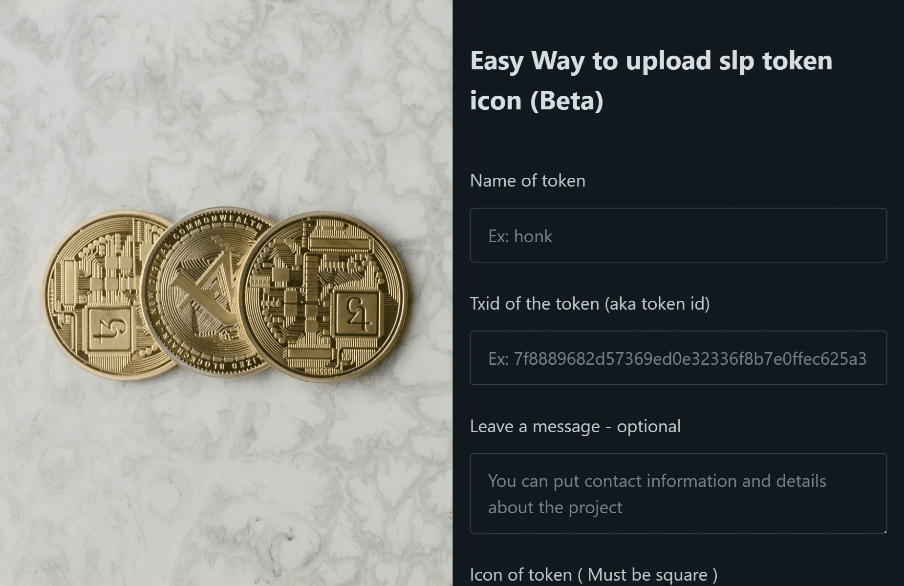 snapcraft downloader project app